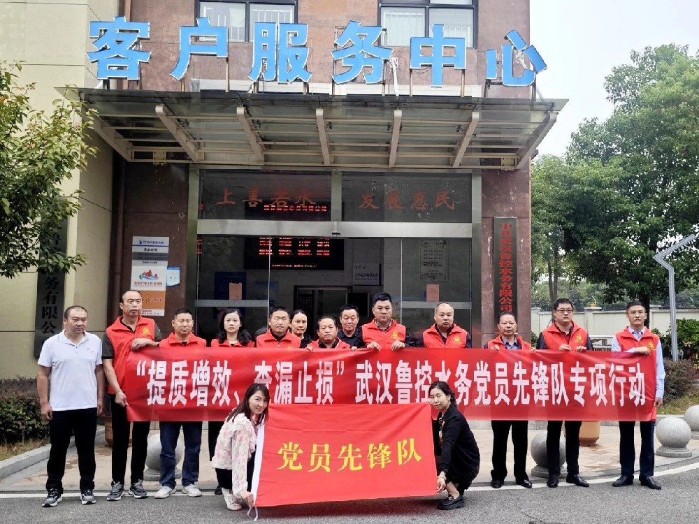 【武汉鲁控】提质增效 查漏止损 | 武汉鲁控开展党员先锋队专项活动