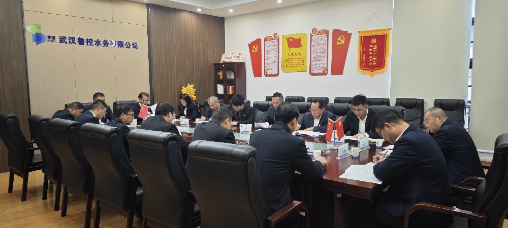 【武汉鲁控】武汉鲁控水务公司召开党支部换届选举大会