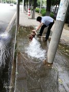2019年5月9日汉南大道兴三路至兴七路东边沿线停水公告