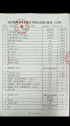 2019年武汉鲁控水务有限公司供水水质2019年5月月报表（42项）
