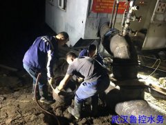 未雨绸缪，多措并举，武汉鲁控水务公司全力保