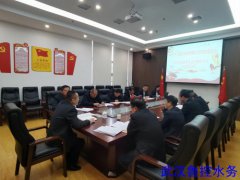 武汉鲁控水务党支部召开2022年度 组织生活会